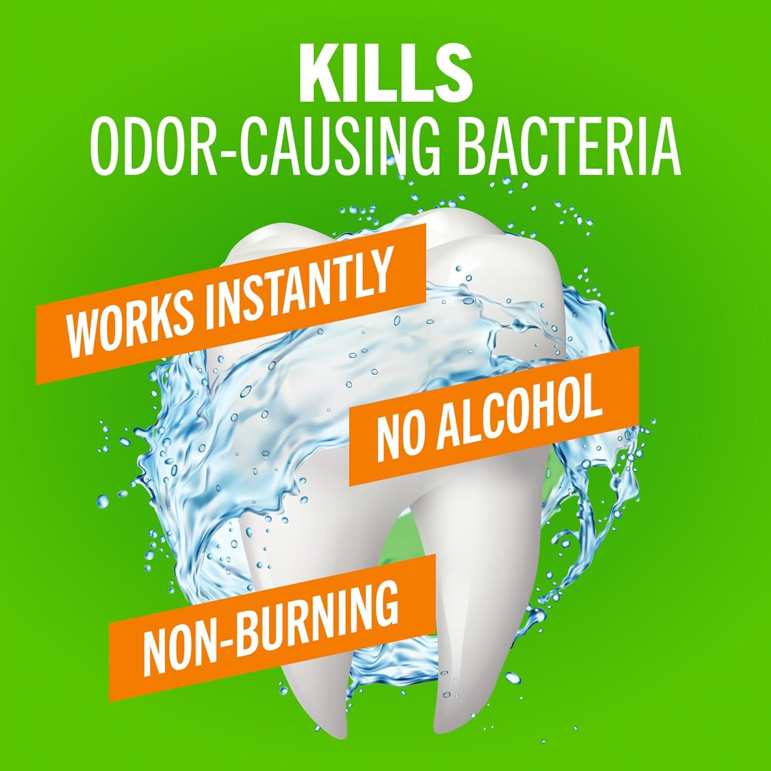 image:imageTheraBreath Fresh Breath Mouthwash Mild Mint Flavor AlcoholFree 16 Fl Oz 2Pack